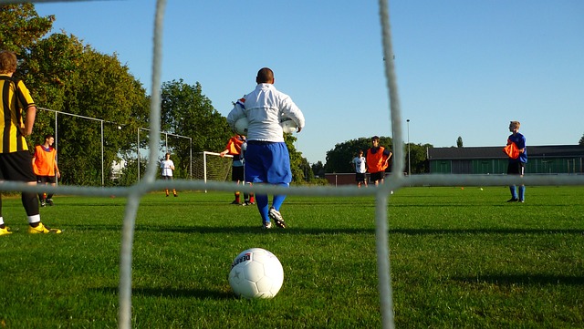 回归不仅提 回归不仅提