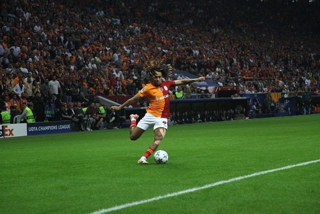 星目前大多 星目前大多