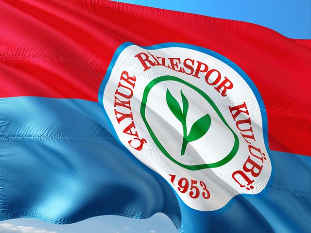 登贝莱的转 登贝莱的转