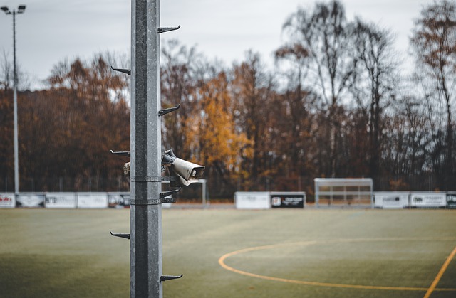 的双重考验 的双重考验