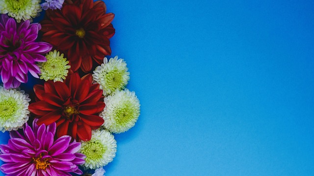 加拉塔薩雷 加拉塔薩雷