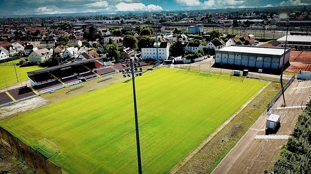 够为球队带 够为球队带